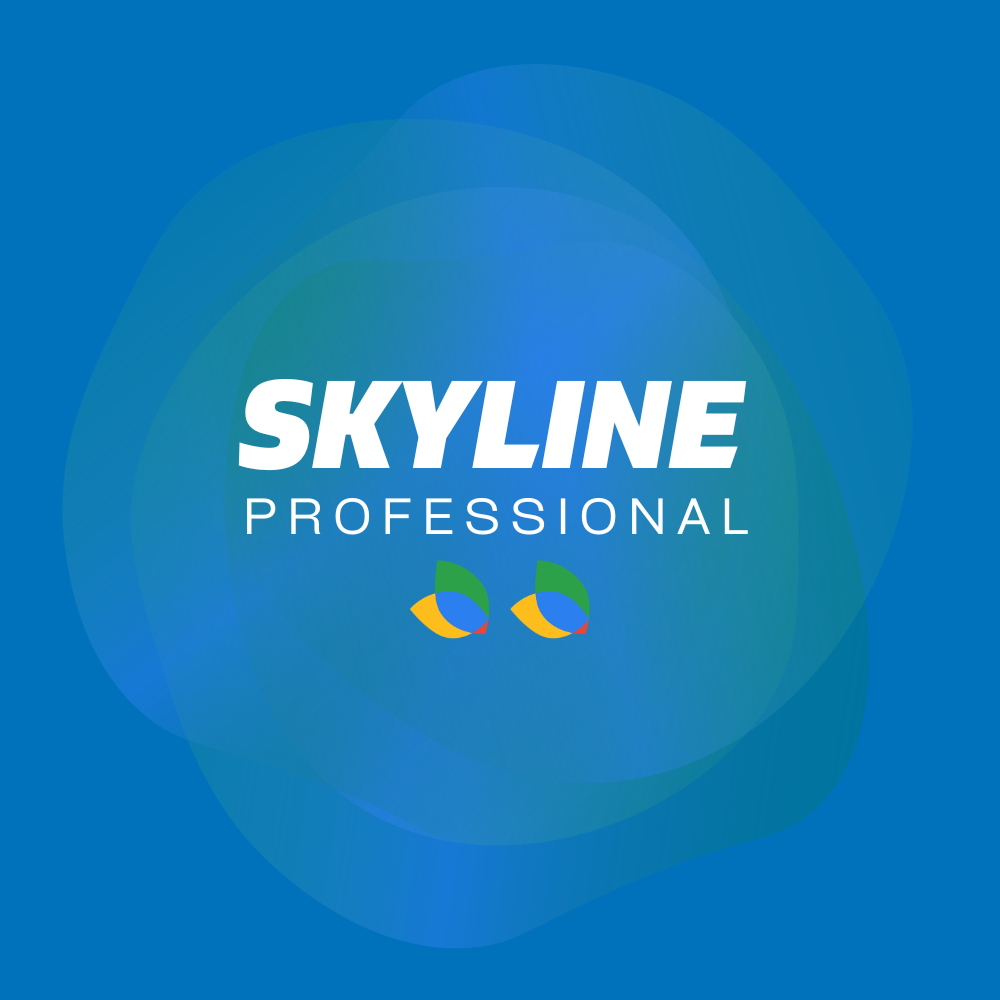 Skyline_professional